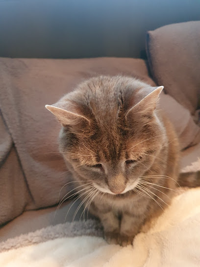 Blacks Vets in Sedgley