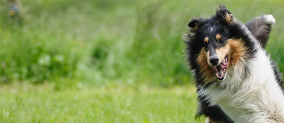 Blythman & Partners - South Shields