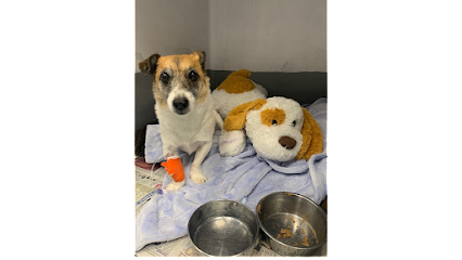 Braid Vets, Leith Walk