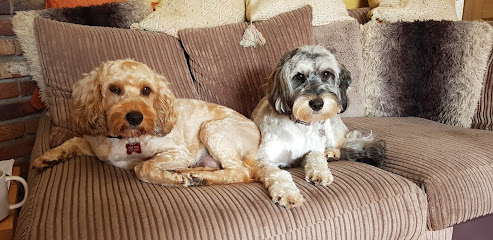 Brentknoll Vets in Worcester