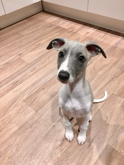 Bridgnorth Veterinary Centre