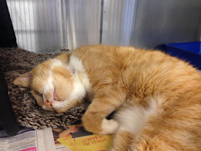 Broadway Veterinary Group