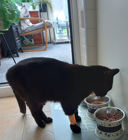 Broadway Vets in Bebington, Wirral