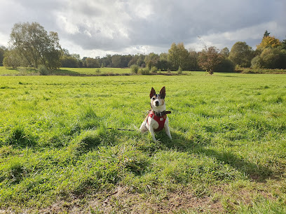 Brookfield Veterinary Practice Ltd