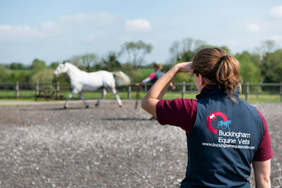 Buckingham Equine Vets Bicester