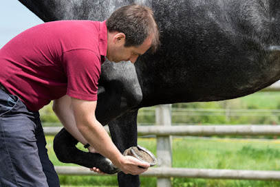 Buckingham Equine Vets