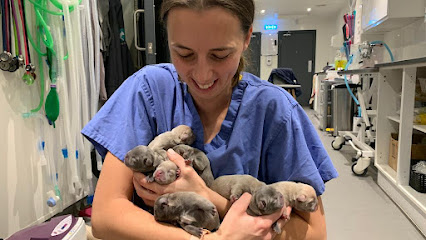 Bury St Edmunds Veterinary Centre