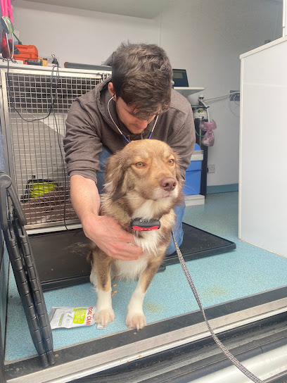 Bury St Edmunds Veterinary Centre community clinics @ Stanton