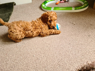 Calder Vets in Penistone