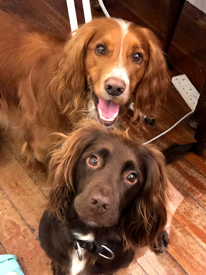 Cameron & Greig Vets