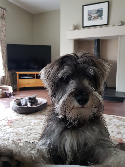Campsie Veterinary Centre - Omagh