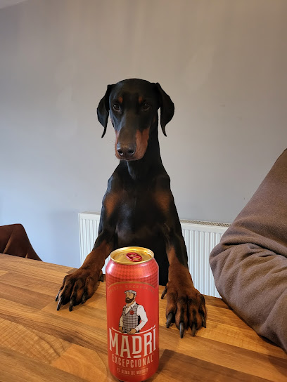 Cancer Care for Pets