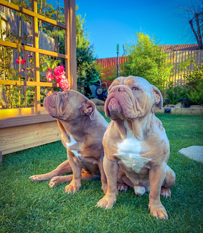 Cardiff Veterinary Centre