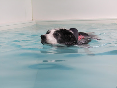 Carlton Hydrotherapy Centre