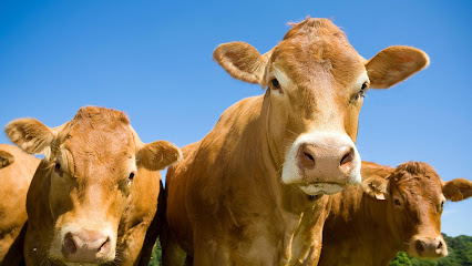 Castle Farm Vets - Malton