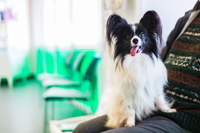 Castle Veterinary Group