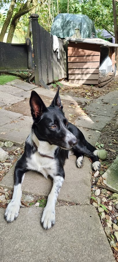 Cathcart & Winn Vets in Farnham