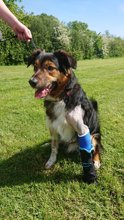 Cave Vet Specialists Ltd