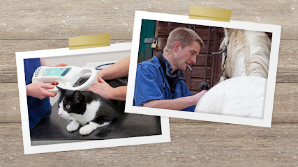 Cedar Vets (Four Marks)