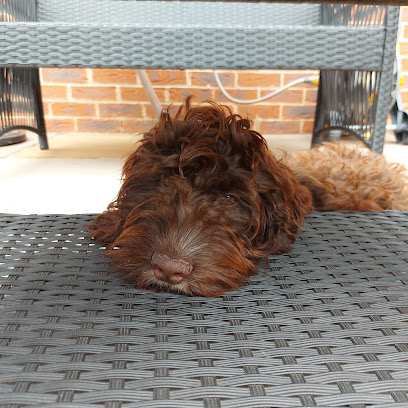 Chapel House Vets in Staveley