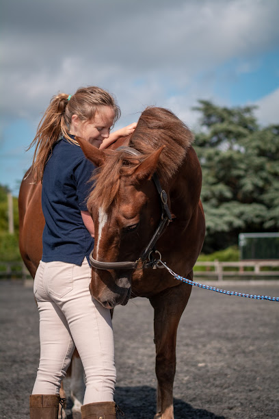 Charley Gunner Veterinary Physiotherapy