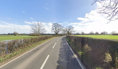 Cheshire Veterinary Physiotherapy