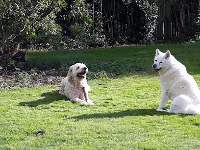 Cheviot Vets Ltd