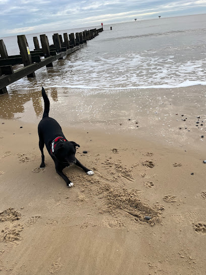 Christchurch Veterinary Referrals