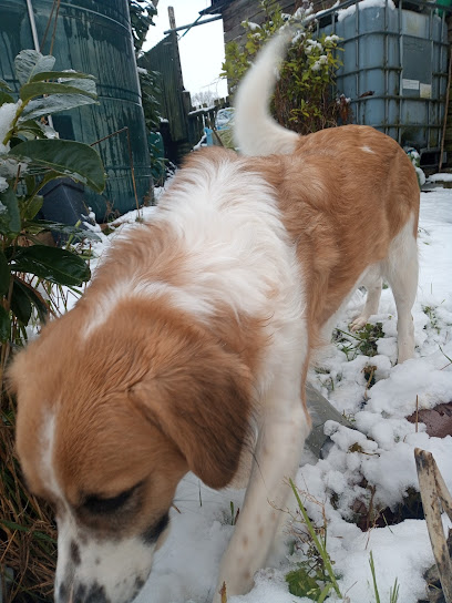 Church Road Veterinary Centre