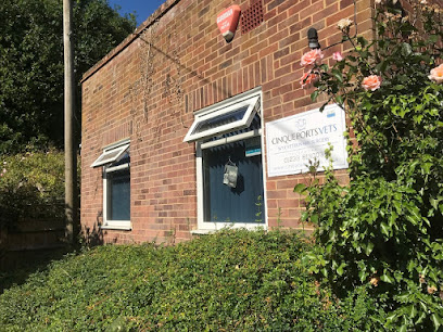 Cinque Ports Cat Clinic in Wye