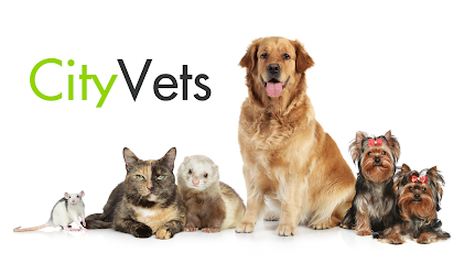City Vets in Whipton