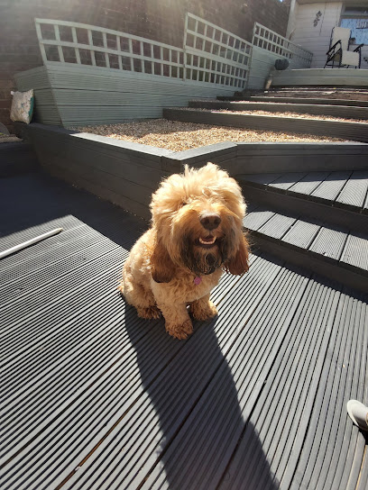 Clevedale Veterinary Practice, Upleatham Equine