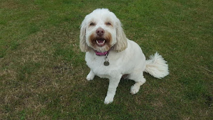 Clifton Lodge Veterinary Group, Billingham