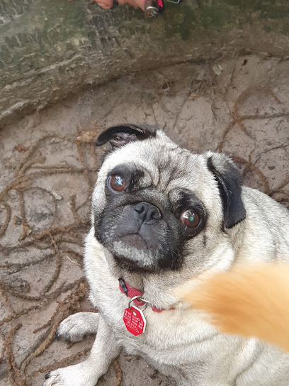 Coastal Veterinary Group - Burnham Market