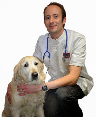 Companion Care - Aylesbury