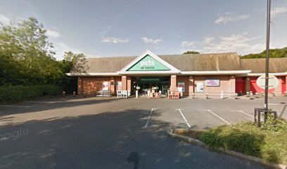 Companion Care - Basingstoke