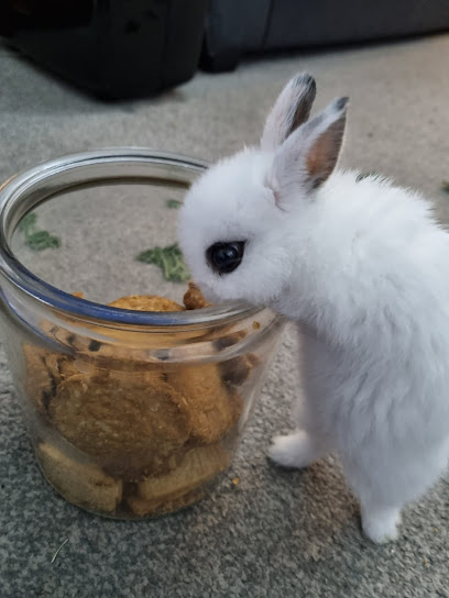 Companion Care - Fareham Park Gate