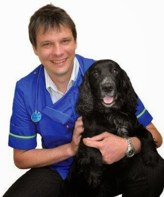 Companion Care - Gloucester