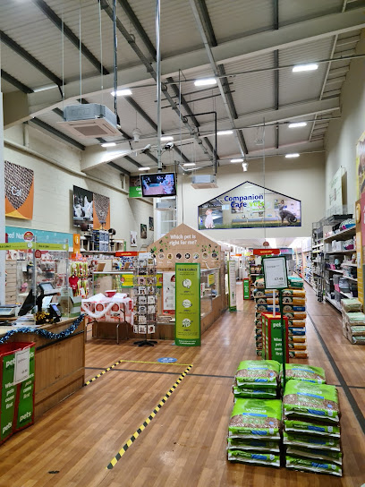 Companion Care - Hove