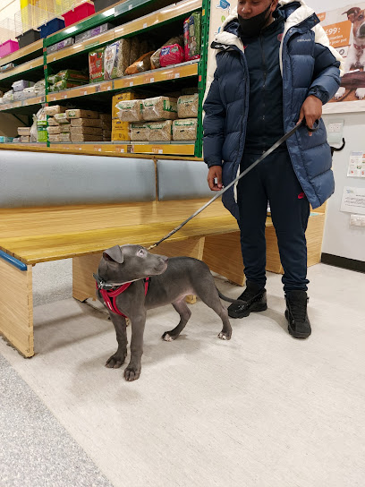 Companion Care - Oldbury