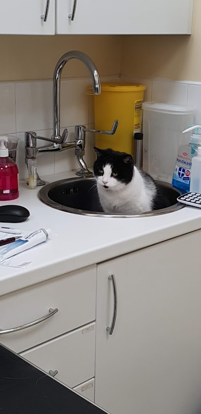 Companion Care - Redhill