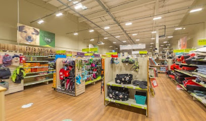 Companion Care - Salisbury