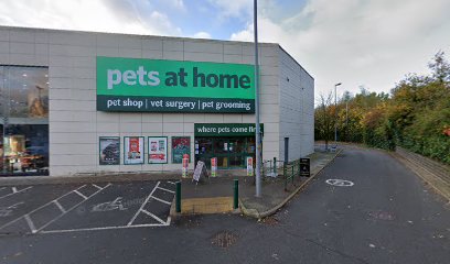 Companion Care Vet Surgery