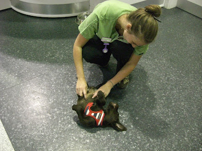 Companion Care Vets Andover