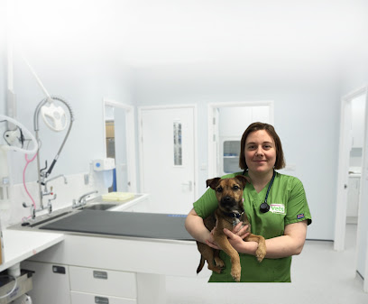 Companion Care Vets Ashford