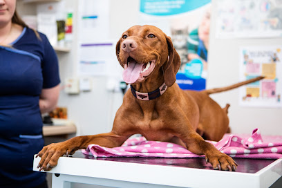 Companion Veterinary Clinic