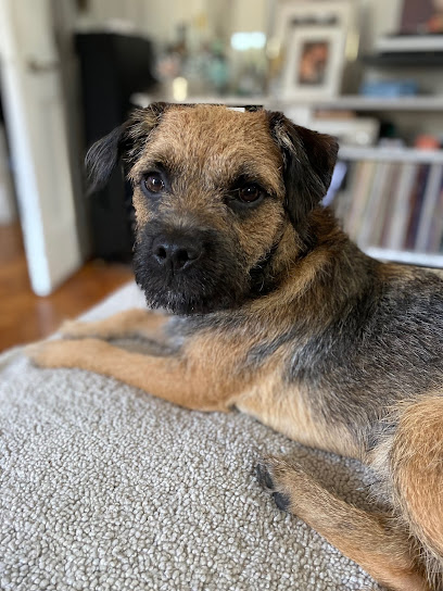 Cornish Paws Veterinary Practice