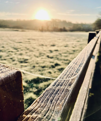 Cotts Equine Hospital