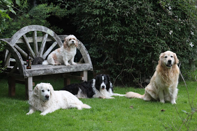 Coxheath Veterinary Clinic