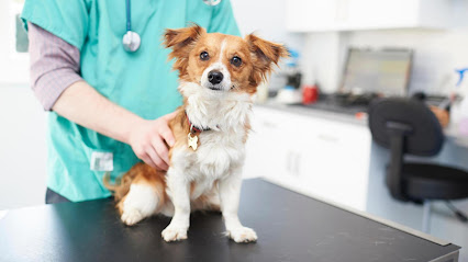 Cranmore Veterinary Services - Chester
